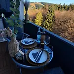 公寓 Bergidyll Hahnenklee