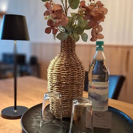 Bergidyll Hahnenklee 公寓 *