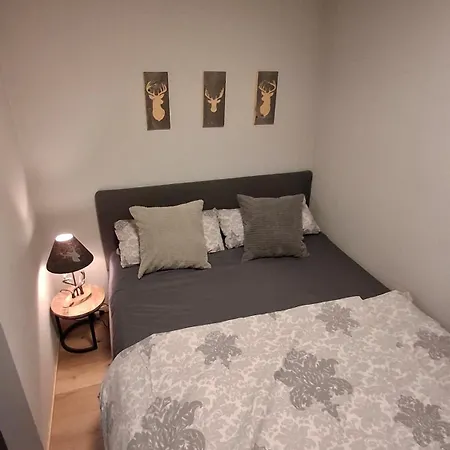 Bergidyll Hahnenklee Apartament *