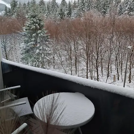 Bergidyll Hahnenklee Lägenhet