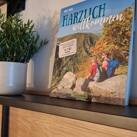 Bergidyll Hahnenklee Apartament *