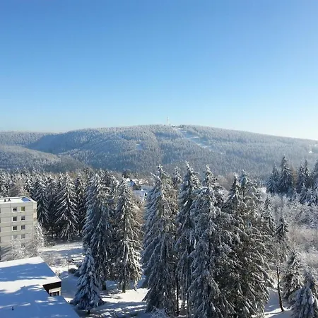 公寓 Bergidyll Hahnenklee