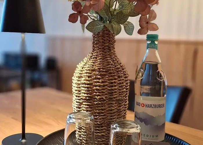 Bergidyll Hahnenklee 公寓 *