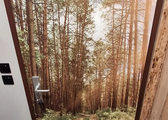 Bergidyll Hahnenklee 公寓