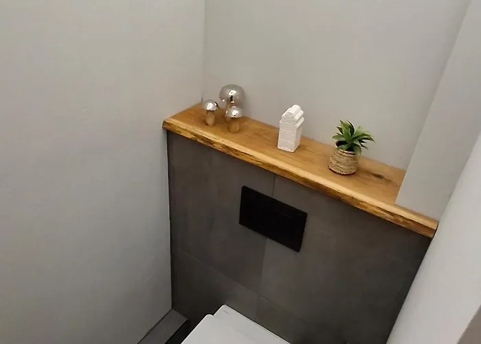 Bergidyll Hahnenklee 公寓 *