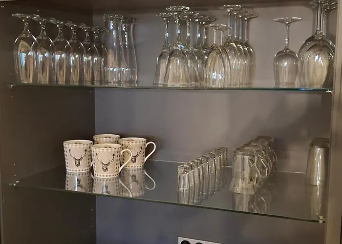 公寓 Bergidyll Hahnenklee