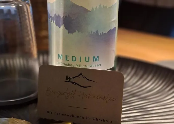 公寓 Bergidyll Hahnenklee *