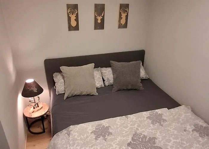 Bergidyll Hahnenklee 公寓 *