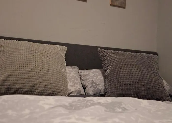 Bergidyll Hahnenklee 公寓