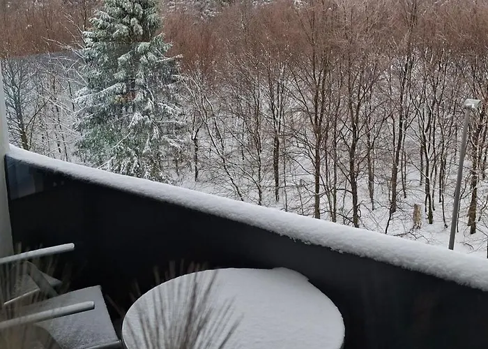 Bergidyll Hahnenklee 公寓