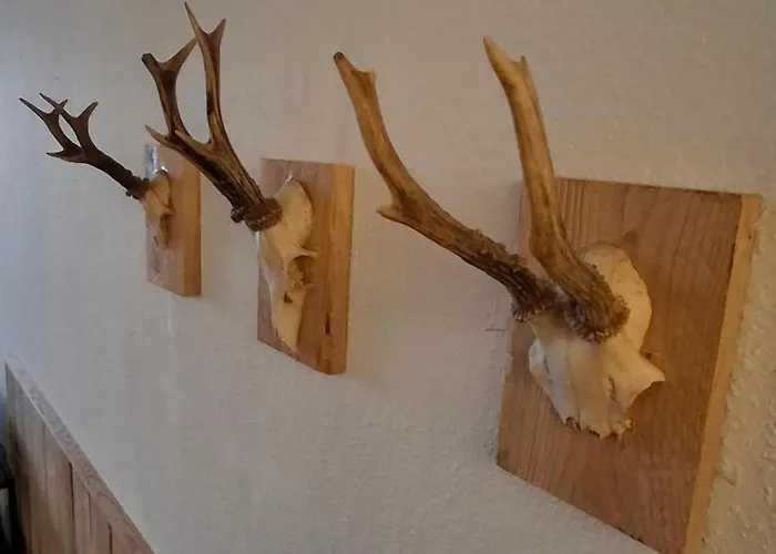 Bergidyll Hahnenklee 公寓 戈斯拉尔