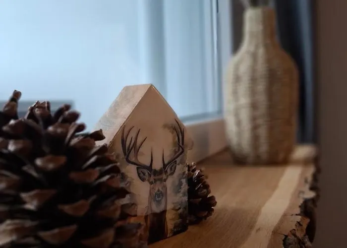 公寓 Bergidyll Hahnenklee