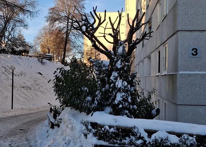 Bergidyll Hahnenklee 公寓 *