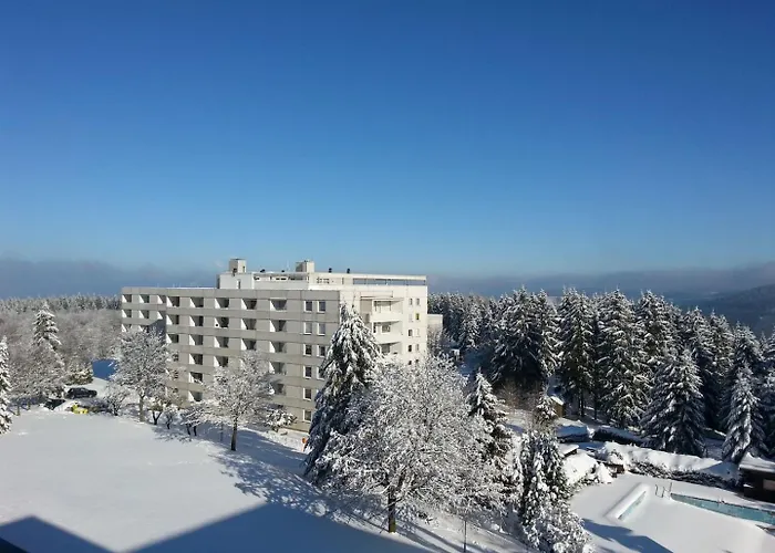 Bergidyll Hahnenklee 公寓 *