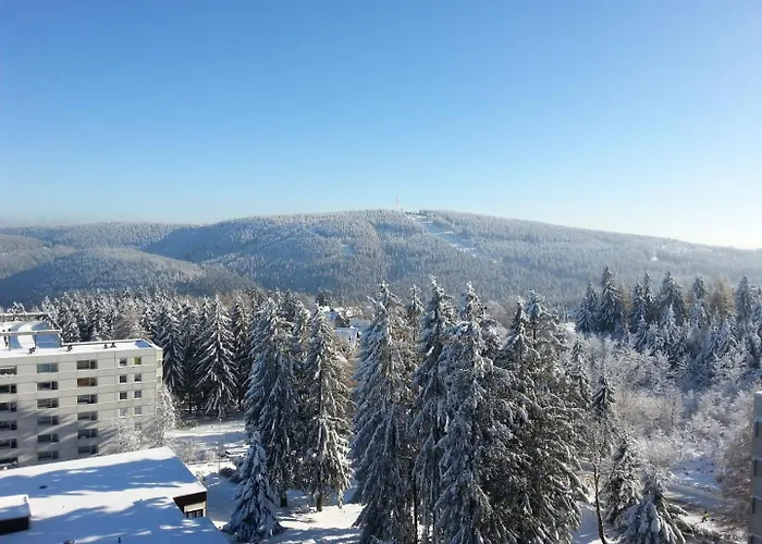 公寓 Bergidyll Hahnenklee